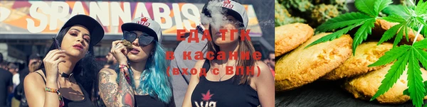 ГАЛЛЮЦИНОГЕННЫЕ ГРИБЫ Карпинск