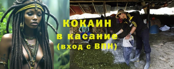ПСИЛОЦИБИНОВЫЕ ГРИБЫ Киренск