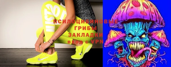 ПСИЛОЦИБИНОВЫЕ ГРИБЫ Киренск