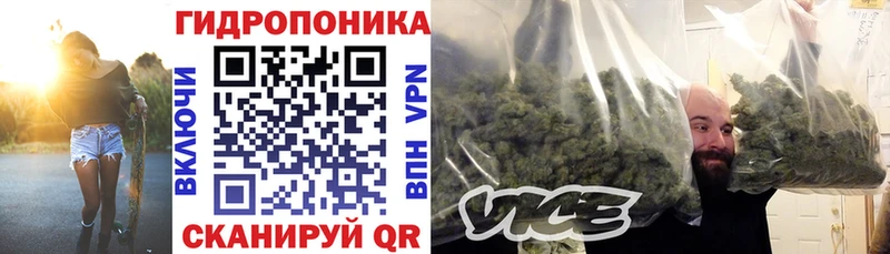 МАРИХУАНА сатива  Купить где  Ершов 
